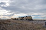 UP 8625